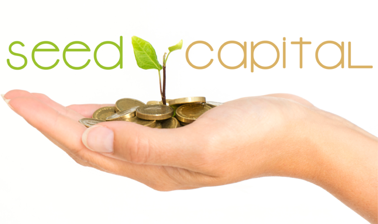 what is seed capital
