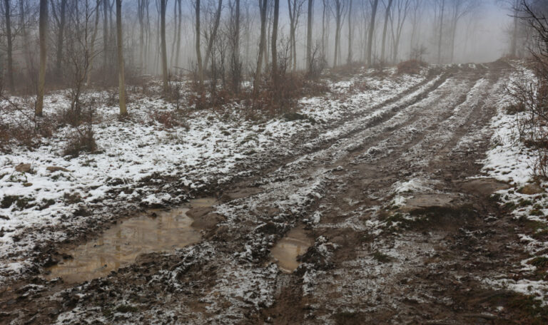 Frost | From The Desk Of Jeff Mitchell